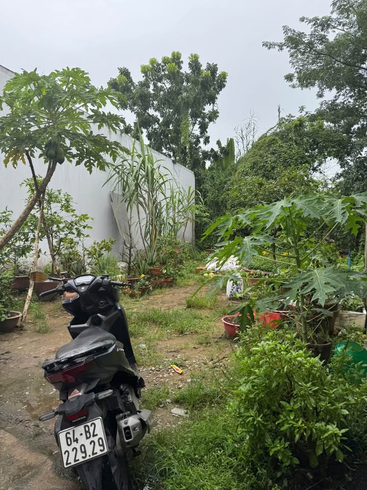 Đất nền phường Thanh Đức, 90.5m², giá chỉ 380 triệu - Đầu tư sinh lời!