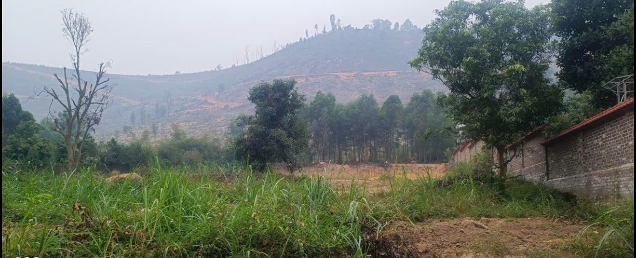 Đất nền Minh Đức, Việt Yên 2413m² giá 6 tỷ - Đầu tư sinh lời hấp dẫn!