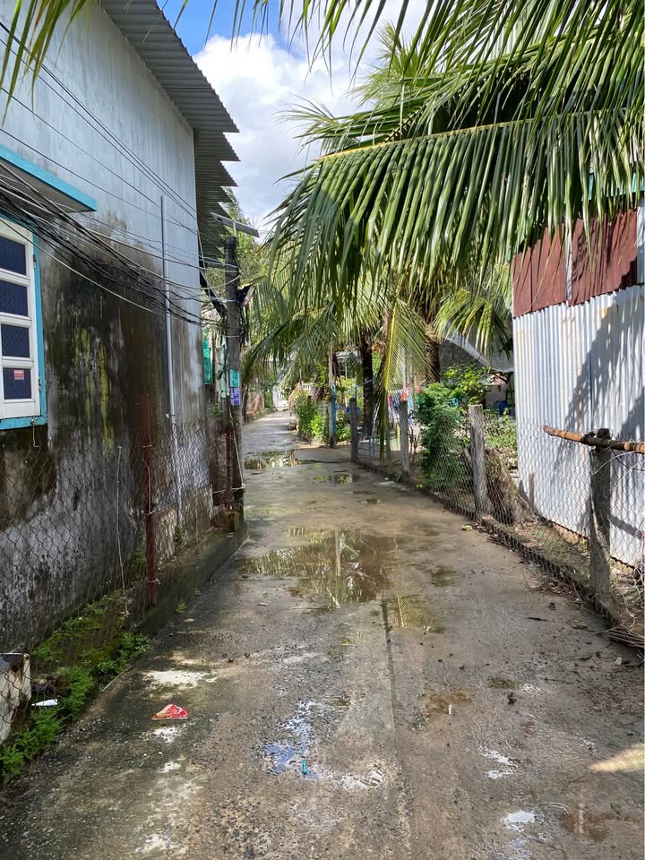 Đất trồng cây lâu năm tại Xuân Yên, Sông Cầu 230m² - Giá chỉ 1.1 tỷ, thương lượng chính chủ!