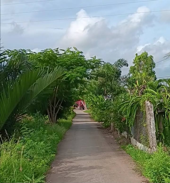 Đất nền 500m² đường Giồng Me, Bạc Liêu - Giá chỉ 400 triệu, mặt tiền sông!