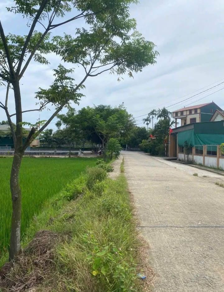 Đất cấp xã Thạch Hội 253m² giá 1.15 tỷ - Cơ hội đầu tư tuyệt vời!