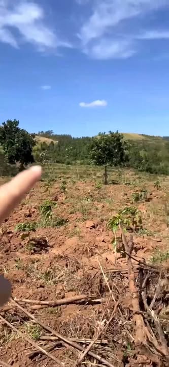 Farm 1.4ha Đăk Long, Đắk Hà, Kon Tum - Nhà ở bao VIP, giá thỏa thuận!