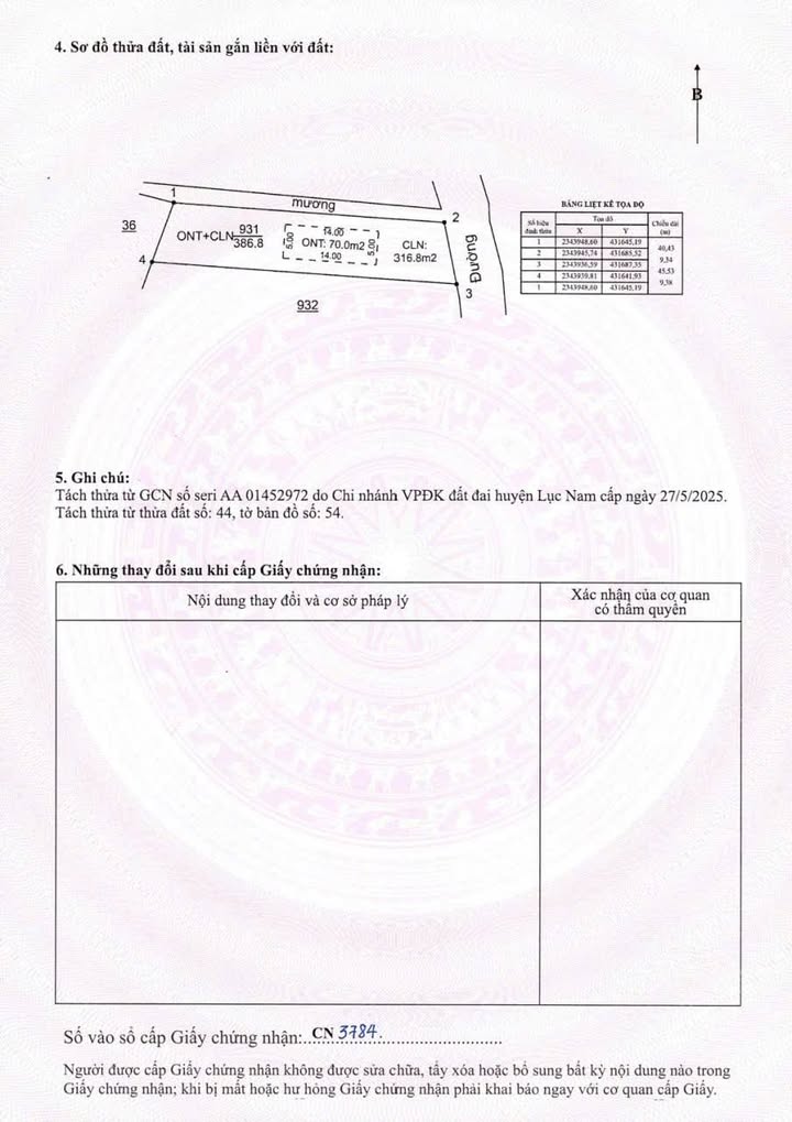 Đất nền Đan Hội, Lục Nam 200m² chỉ 400 triệu - Cơ hội đầu tư hấp dẫn!