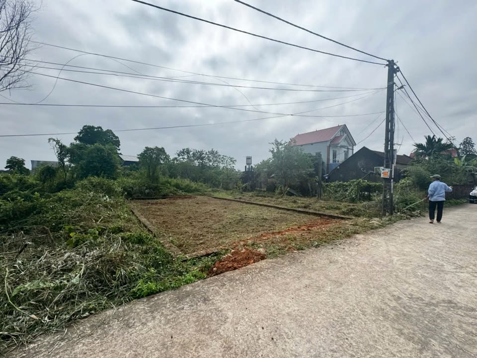 Đất mặt tiền ô tô tránh tại Tân Minh, Sóc Sơn 86m² giá 1.85 tỷ - Cơ hội đầu tư hấp dẫn!