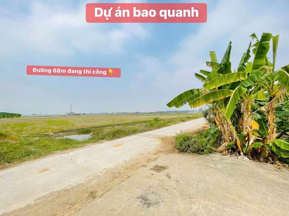 Đất nền Thôn Thong, Thanh Tâm, 245m² giá 2.45 tỷ - Đầu tư sinh lời ngay!