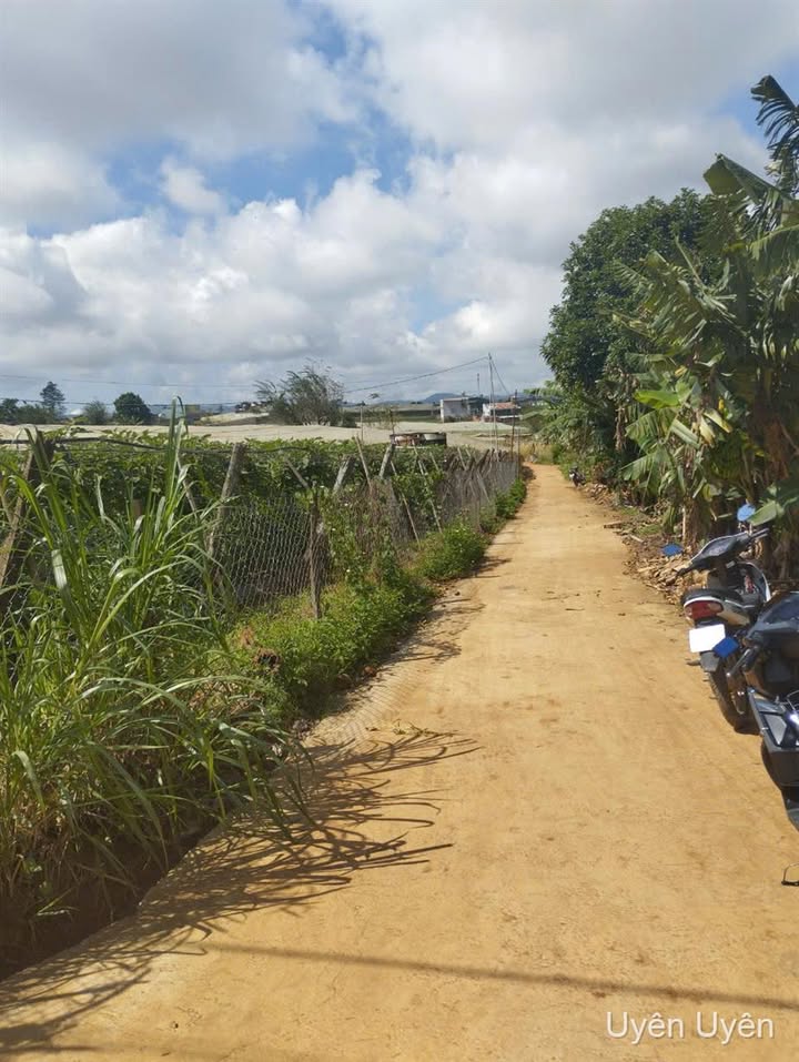 Đất mặt tiền đường Nhựa 412, xã Ka Đô, 180m² giá 2.2 tỷ - Cơ hội kinh doanh hấp dẫn!