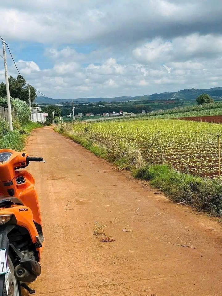 Đất nền Bồng Lai Đức Trọng 180m² giá 860 triệu - Cơ hội đầu tư hấp dẫn!