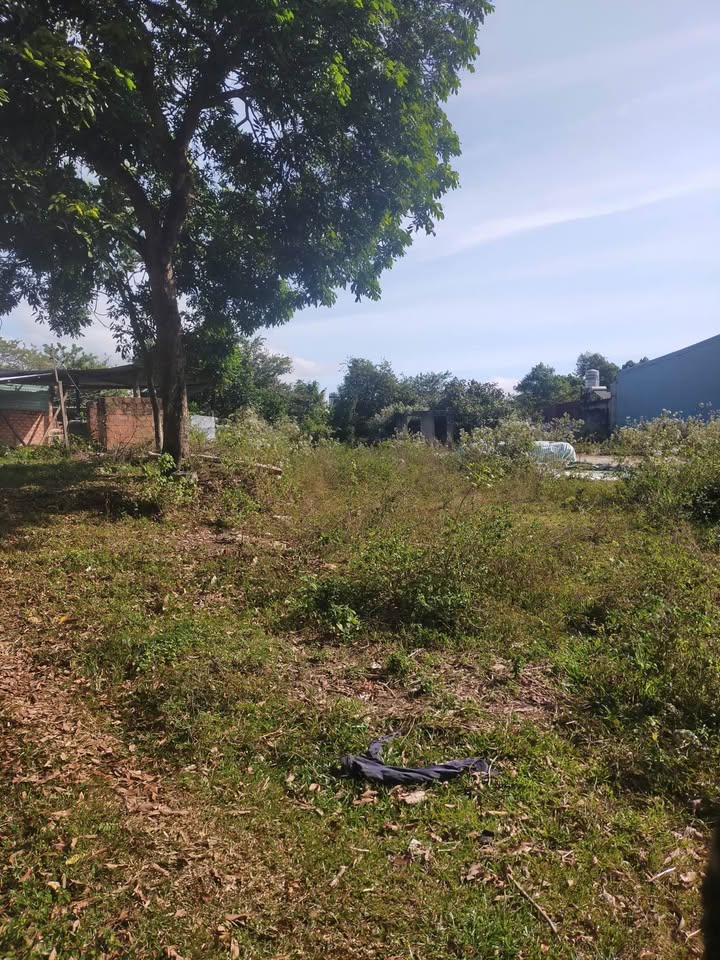 Đất thổ cư Nguyễn Tri Phương, phường Lê Lợi 246m² giá 1.2 tỷ - Cơ hội đầu tư lý tưởng!