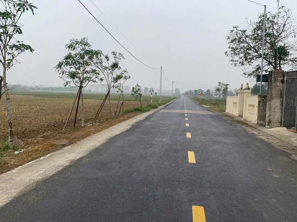 Bán đất Xóm 3 Nghi Phong, TP Vinh 117m² giá 2.5 tỷ - Cơ hội đầu tư sinh lời!