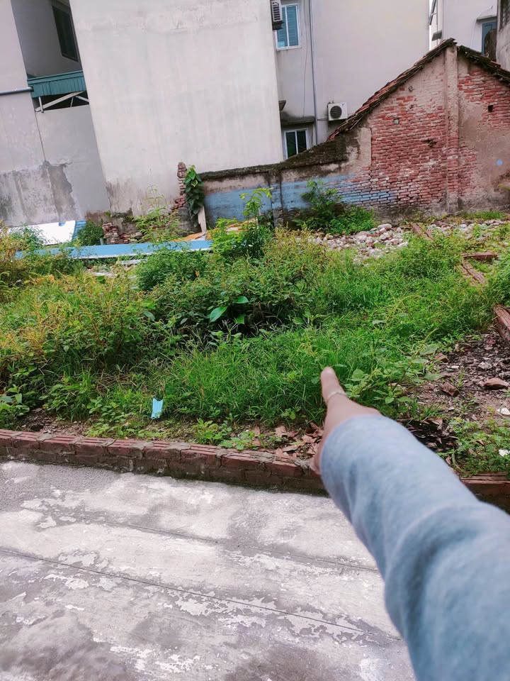 Đất nền Tam Hưng Thanh Oai 40.7m² giá 3 tỷ - Đường ô tô vào tận nơi!