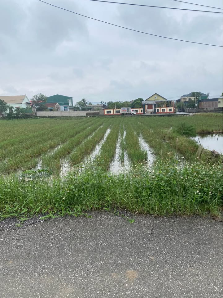 Đất mặt đường Hòa Thuận, Nghi Kim 75,7m² giá 1,78 tỷ - Cơ hội đầu tư hấp dẫn!