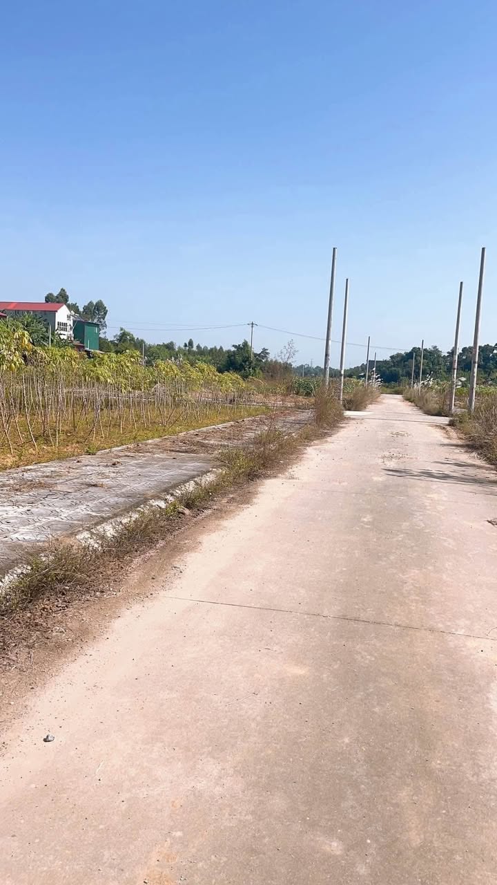 Đất nền Tiên Kiên Lâm Thao 100m² - Giá rẻ nhất khu vực!