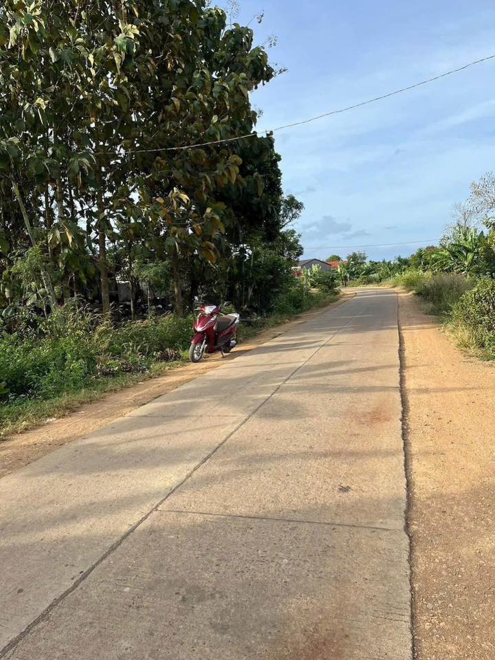 Đất nền 200m² tại Đắk Wil, Cư Jút - Giá chỉ 860 triệu, bớt lộc cho người thiện chí!