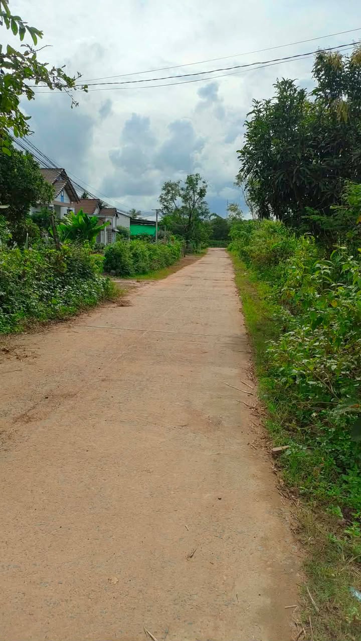 Đất thổ cư 300m² tại thôn 15 Nam Dong giá 630 triệu - Sổ đỏ chính chủ, công chứng ngay!