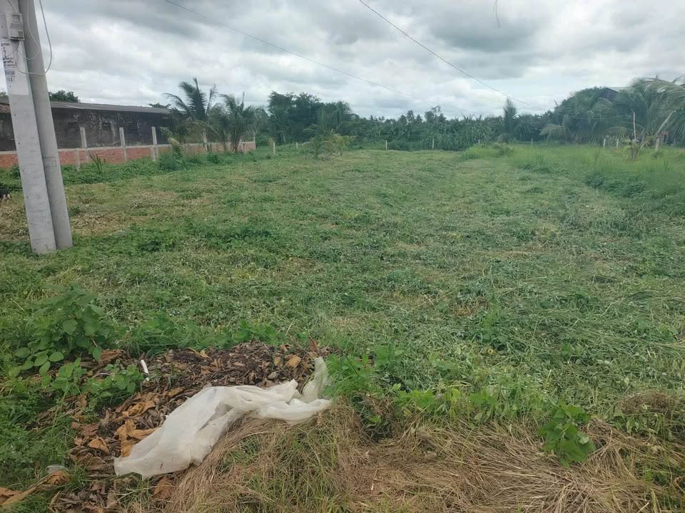 Đất mặt tiền đường 902 An Phước 1555m² giá 6.22 tỷ - Sổ hồng chính chủ, đầu tư hấp dẫn!