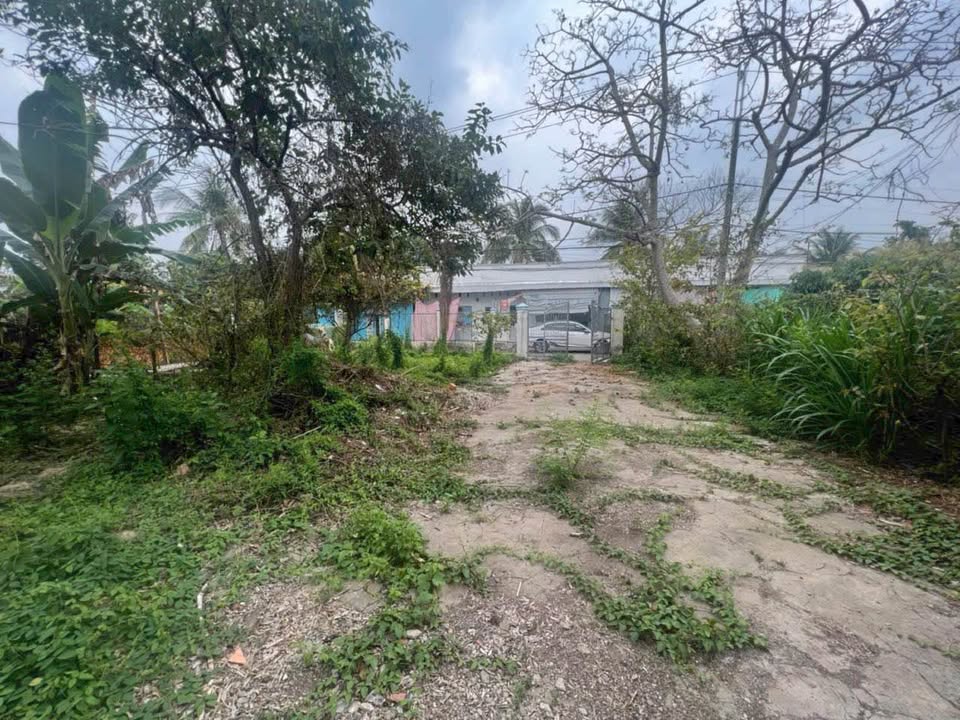 Đất nền Tân Hoà, Vĩnh Long 1511m² giá chỉ 3.8 tỷ - Pháp lý rõ ràng!