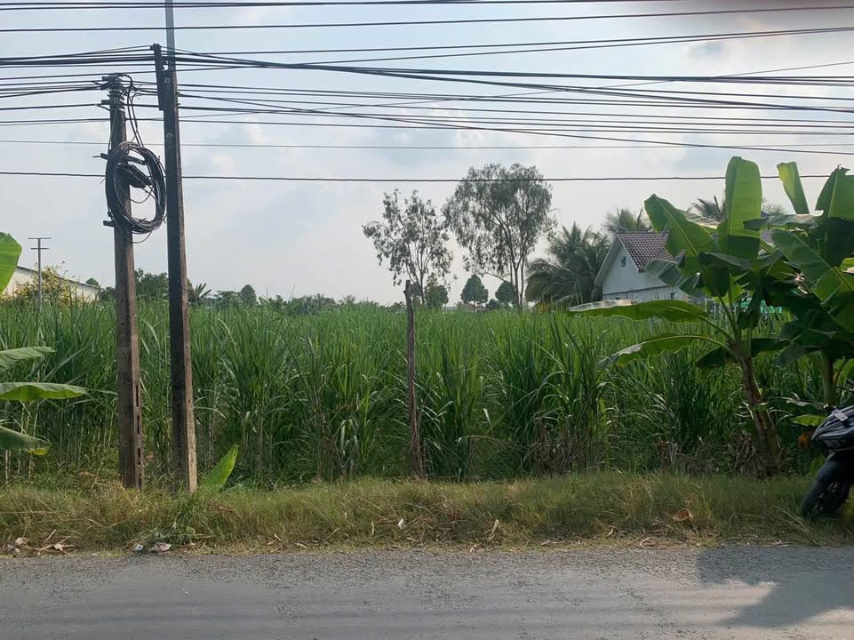 Đất nền kinh doanh mặt tiền DH23, xã Phú Quới, 1448.5m² - Gần chợ, trường học!