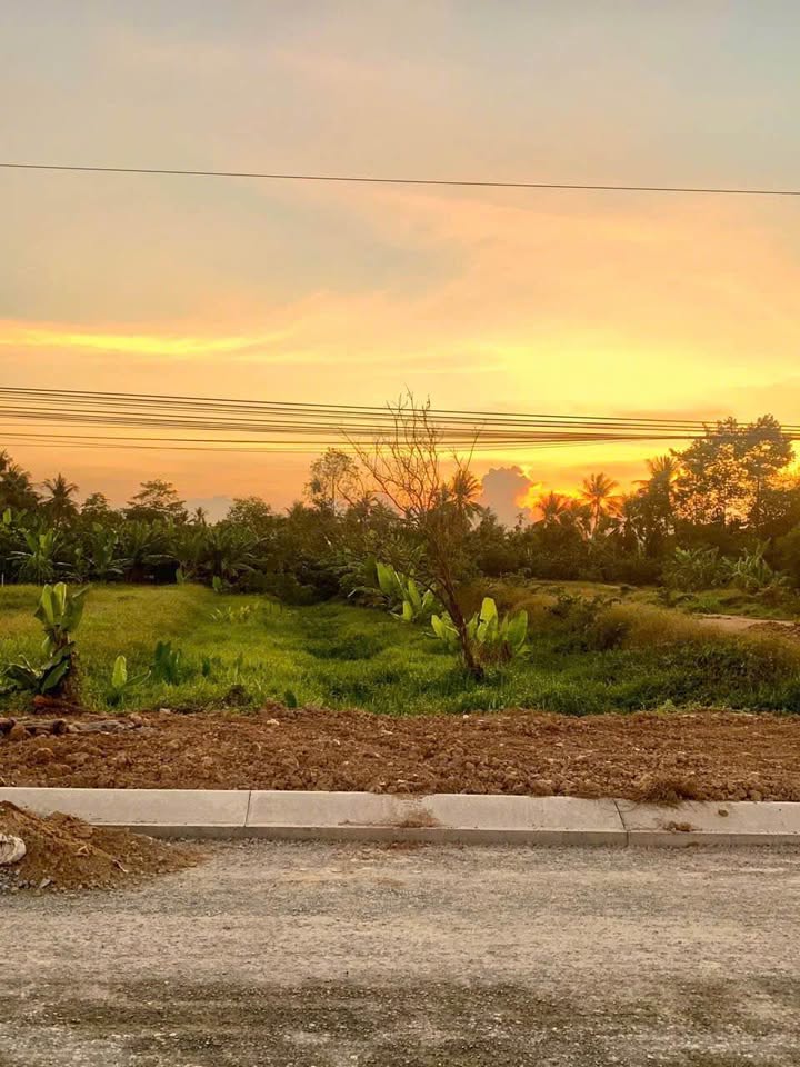 Đất thổ cư Mỹ Hòa, Bình Minh 398.2m² giá 4.38 tỷ - Đầu tư sinh lời hấp dẫn!