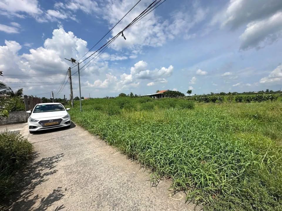 Đất nền Trần Bá Ân, Tân Trụ, Long An 140m² giá 520 triệu - Cơ hội đầu tư tuyệt vời!