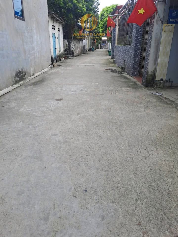 Đất nền đường Trần Quang Khải, Bích Đào 65.2m² giá 1 tỷ - Cơ hội đầu tư tuyệt vời!