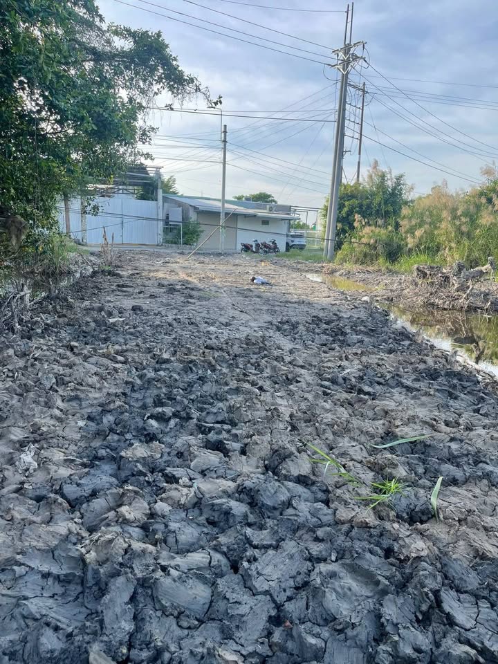 Đất nền mặt tiền Lý Văn Lâm, Cà Mau 264m² giá chỉ 1.35 tỷ - Cơ hội đầu tư hấp dẫn!