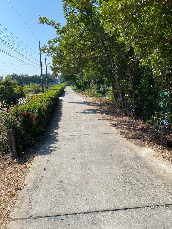 Đất chính chủ An Xuyên 1020m² giá 1 tỷ - Đầu tư lâu dài, vị trí đẹp!