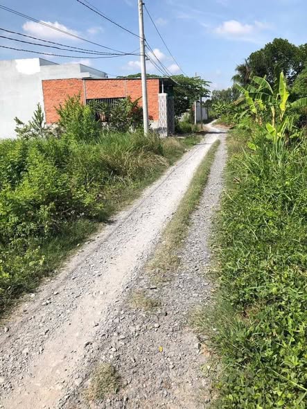 Đất nền Hẻm 244 Nguyễn Thông, Tân An, Long An 396m² - Giá tốt, thương lượng ngay!