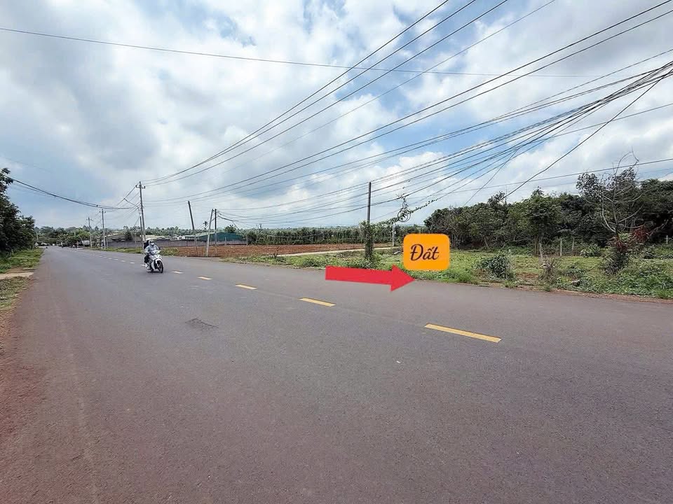 Đất nền mặt tiền Phan Huy Chú, xã Hòa Xuân, 150m² giá 1.45 tỷ - Cơ hội kinh doanh tuyệt vời!