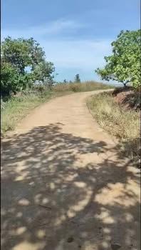 Đất nền 9800m² xã Phú Trung, huyện Bù Đăng chỉ 1.25 tỷ - Cơ hội đầu tư tuyệt vời!