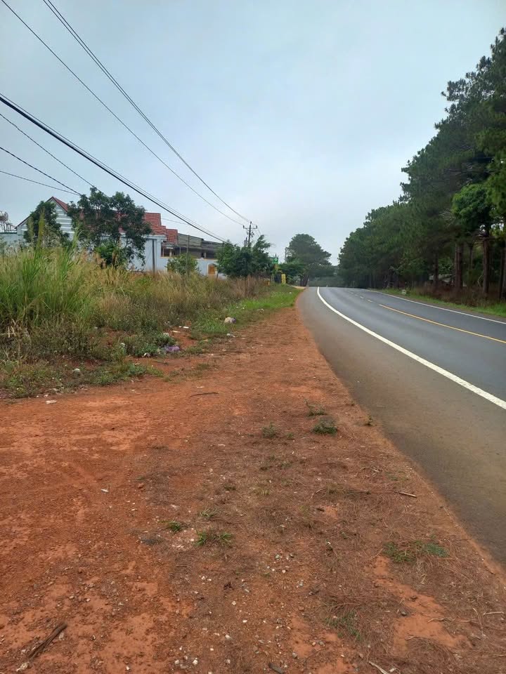 Đất nền 1,2 hecta Trường Xuân, Đắk Nông giá 6 tỷ - Đầu tư sinh lời hiếm có!