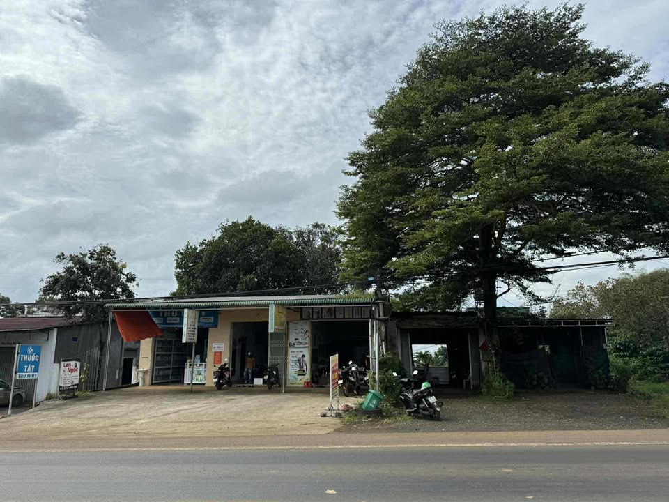 Đất mặt tiền Quốc lộ 14 Nhân Cơ 975m² giá thương lượng - Đầu tư sinh lời cao!