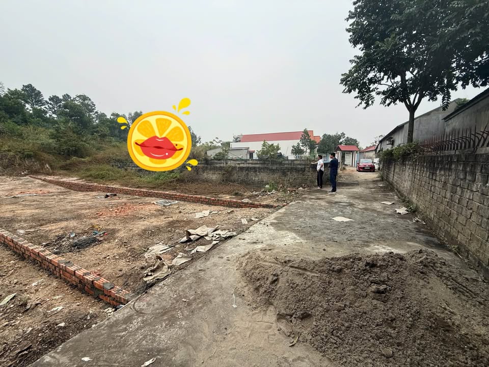 Lô đất đẹp 88m² tại Khu Phố Từ Phong, Bồng Lai chỉ 1 tỷ - Tiềm năng đầu tư cao!