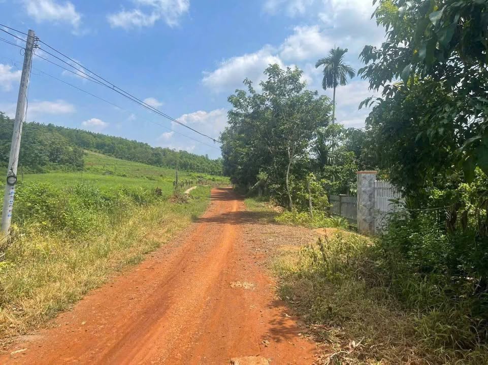 Đất nền Tân Hưng Hớn Quản 245m² chỉ 100 triệu - Đầu tư sinh lời cao!