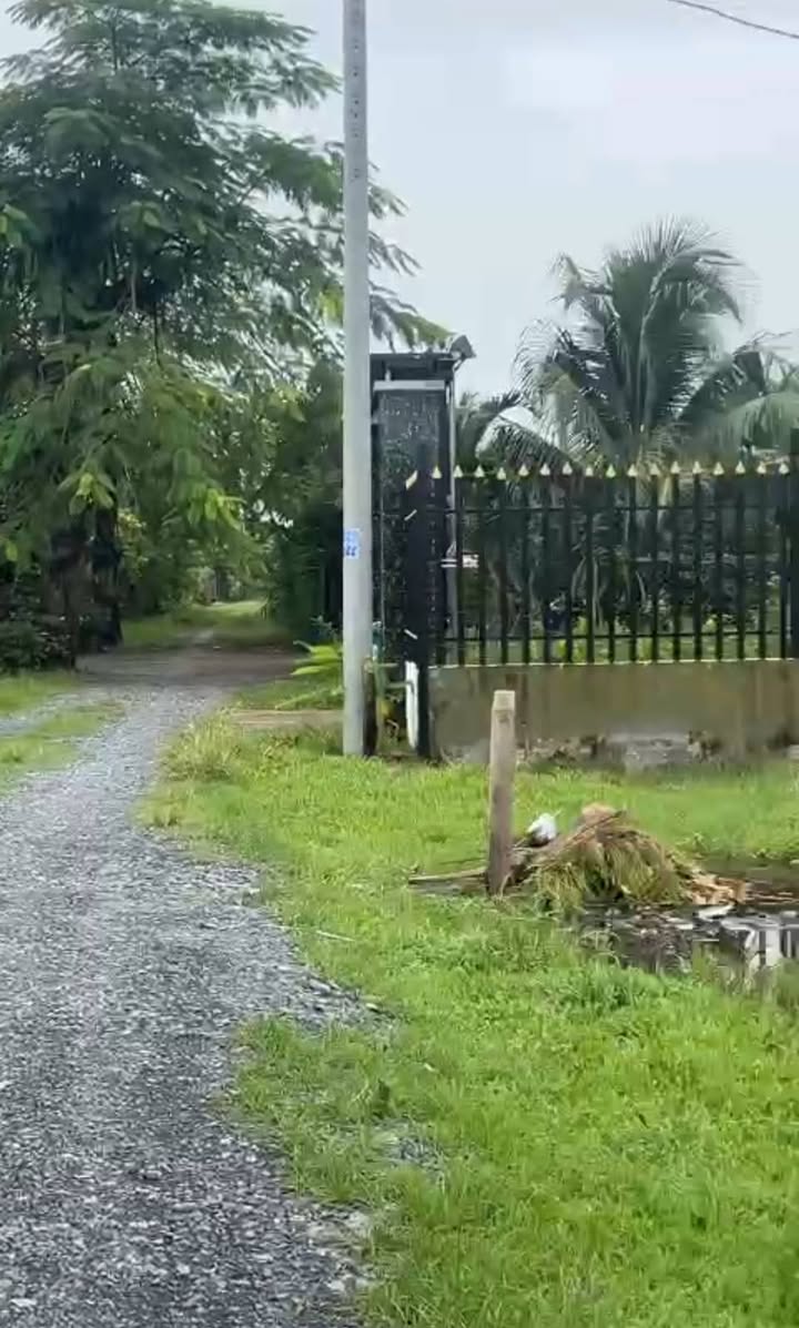 Đất thổ cư 225m² tại Mỹ Hạnh Nam, Đức Hòa - Giá chỉ 1.25 tỷ VND - Đầu tư sinh lời ngay!