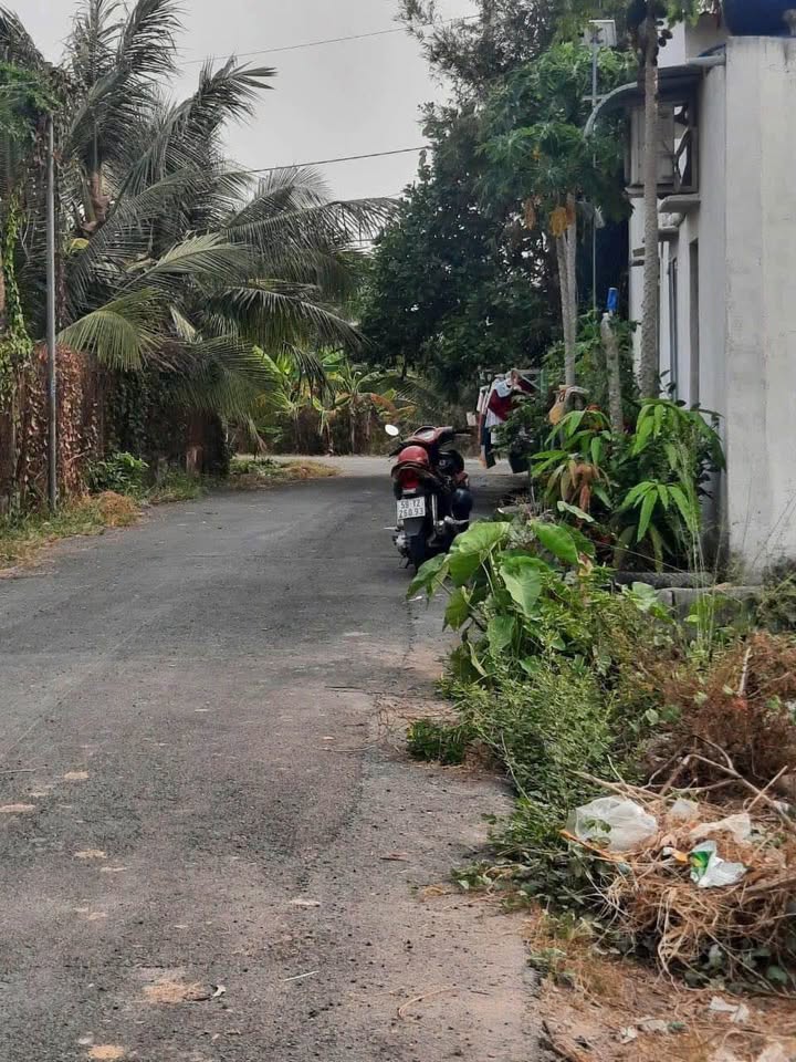 Đất nền Củ Chi Thái Mỹ 100m² giá 700 triệu - Sổ hồng riêng, ô tô vào tận nơi!