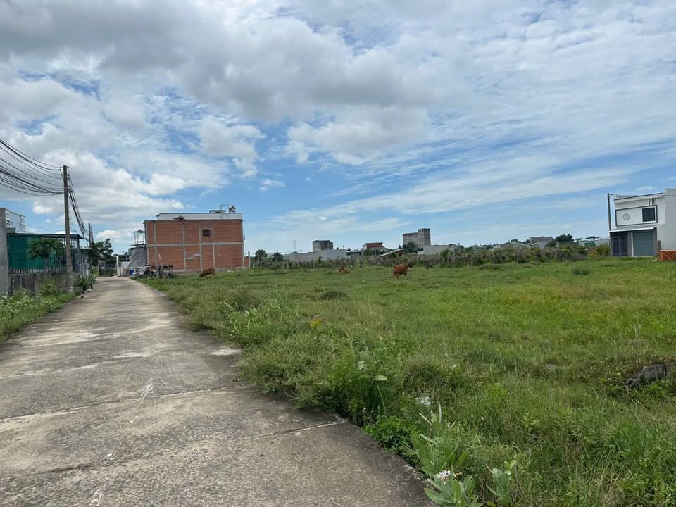 Đất CLN 1900m² giá 1.5 tỷ tại phường Bình Thuận - Khu dân cư sầm uất, đường ô tô vào tận nơi!