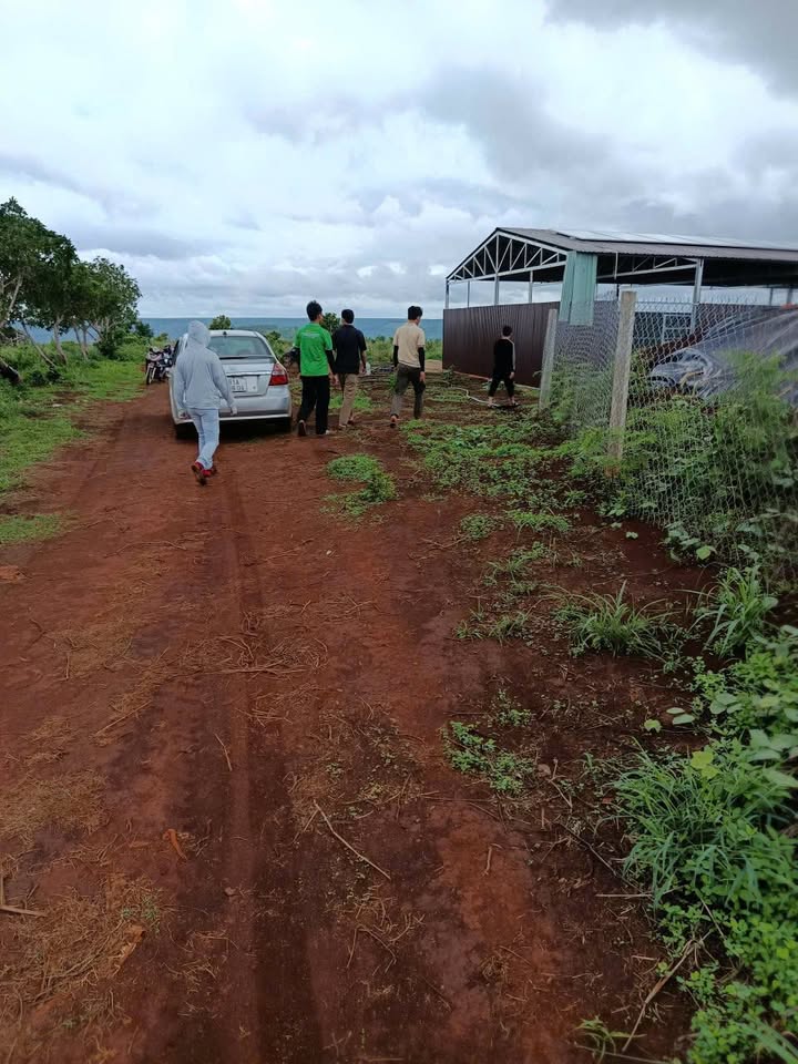 Đất nông nghiệp 7ha tại Đăk Đoa - Đầy đủ tiện ích, thích hợp trồng cây!