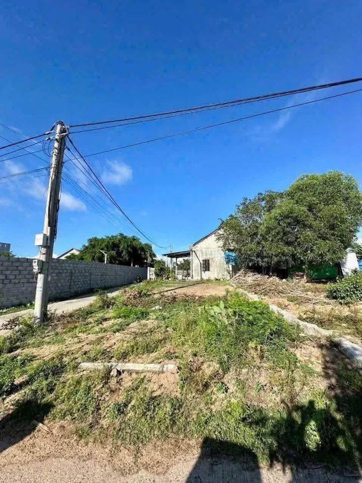 Đất nền Hòa Hiệp Nam Đông Hòa 123.5m² giá 700 triệu - Lô góc thuận tiện!