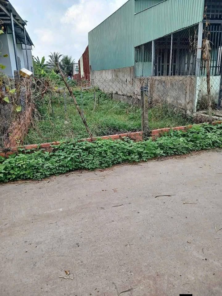 Đất Thái Mỹ Củ Chi 105m² giá thỏa thuận - Sổ hồng riêng, gần KCN Tây Bắc