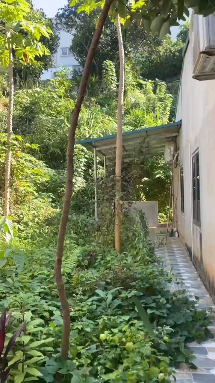 Nhà 1 tầng Hưng Thành 300m² giá 3 tỷ - Thiết kế hiện đại, sẵn sàng ở ngay!