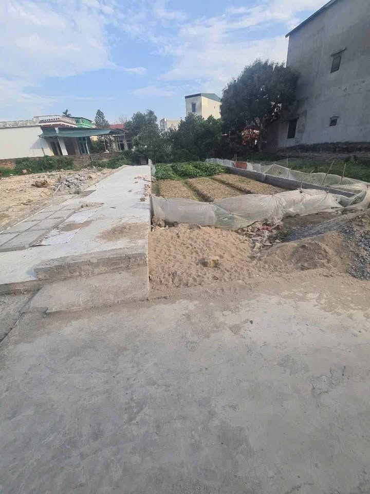 Đất mặt phố Liễu Tràng, Tân Hưng 80m² giá 1.95 tỷ - Đầu tư sinh lời ngay!