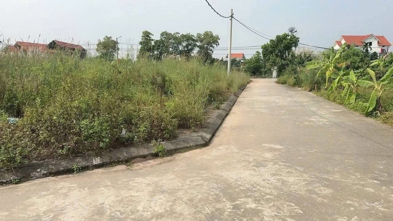Đất đấu giá Hồng Phong, Nam Sách, Hải Dương 100m² giá 1.3 tỷ - Cơ hội đầu tư hấp dẫn!