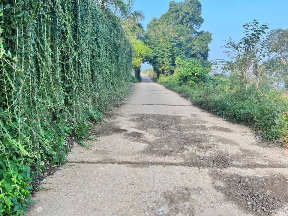 Đất nghỉ dưỡng 2000m² Hòa Lạc - Giá hợp lý, không khí trong lành!