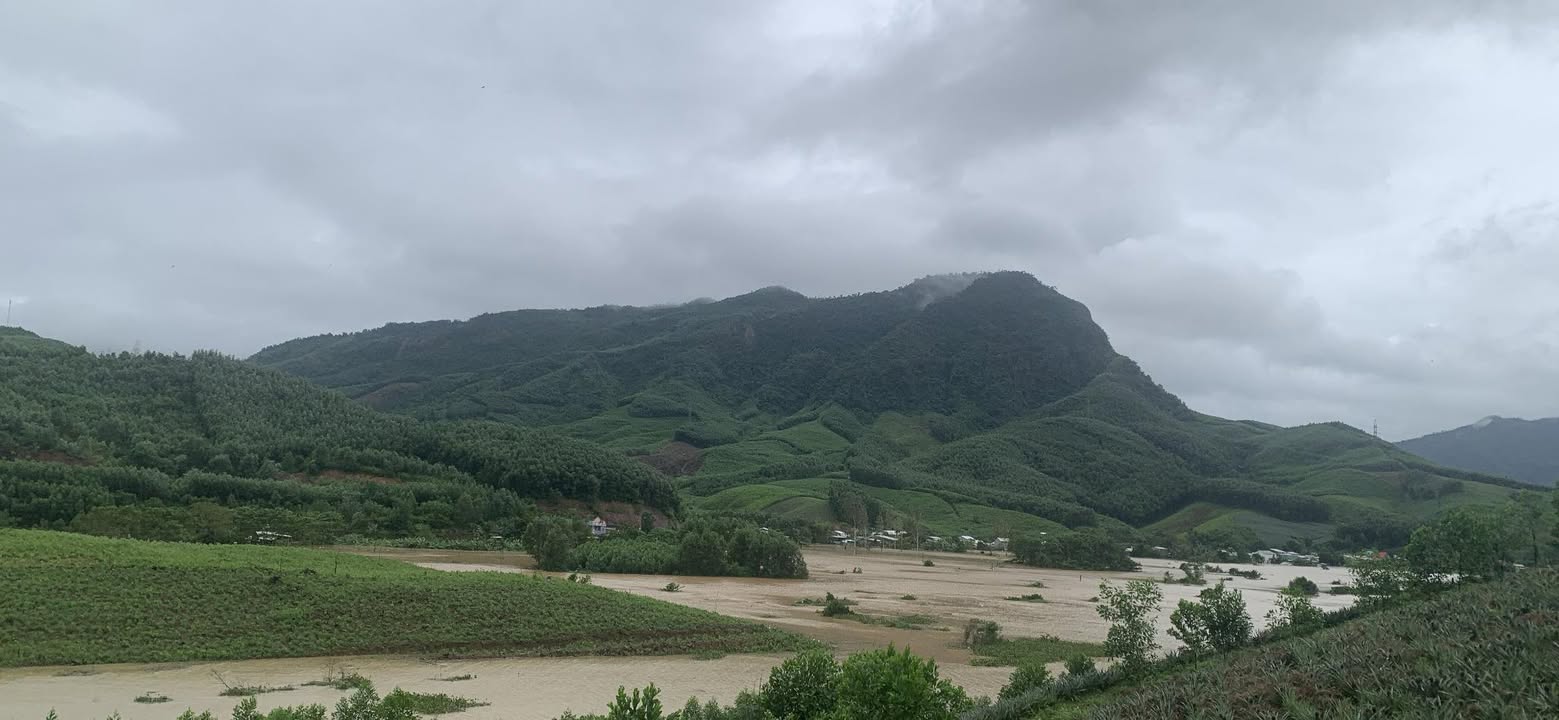 Bán đất rừng sản xuất Hòa Vang Đà Nẵng 28.000m² - Đầu tư sinh lời tiềm năng!