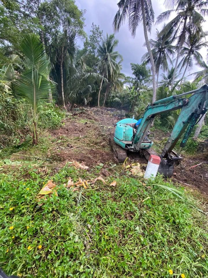 Đất nền mặt tiền đường nhựa 5 tấn Trà Côn 50m² giá chỉ 260 triệu - Cơ hội đầu tư tuyệt vời!