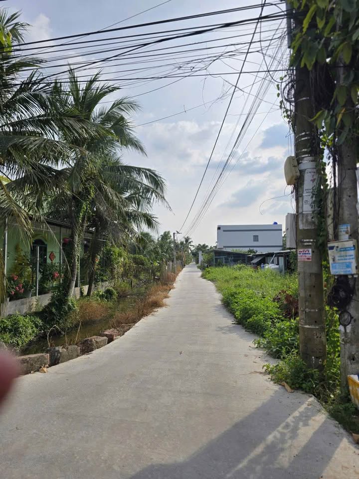 Nhà mái Thái mới hoàn thiện tại Phú Tân, Bến Tre 90m² giá 1.15 tỷ - Sẵn sàng vào ở ngay!