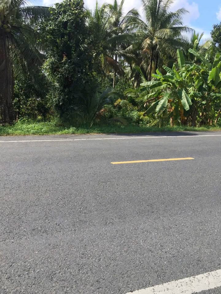 Đất nền mặt tiền 173m xã Sơn Hòa Châu Thành Bến Tre 582m² - Giá chỉ 2.5 tỷ TL