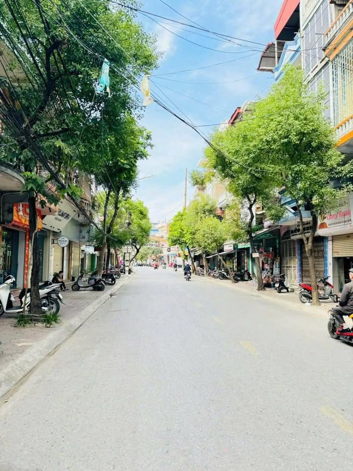 Đất mặt phố Tuệ Tĩnh TP Hải Dương 44,3m² giá 4,3 tỷ - Vị trí kinh doanh đắc địa!