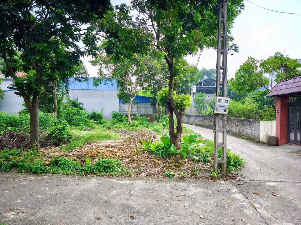 Đất Linh Sơn Thái Nguyên 106m² giá 1.5 tỷ - Đầu tư sinh lời lý tưởng!