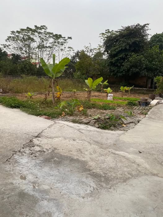 Đất Lô Góc Bắc Lý Hiệp Hòa 111m² giá 700 triệu - Đường ô tô thuận tiện!